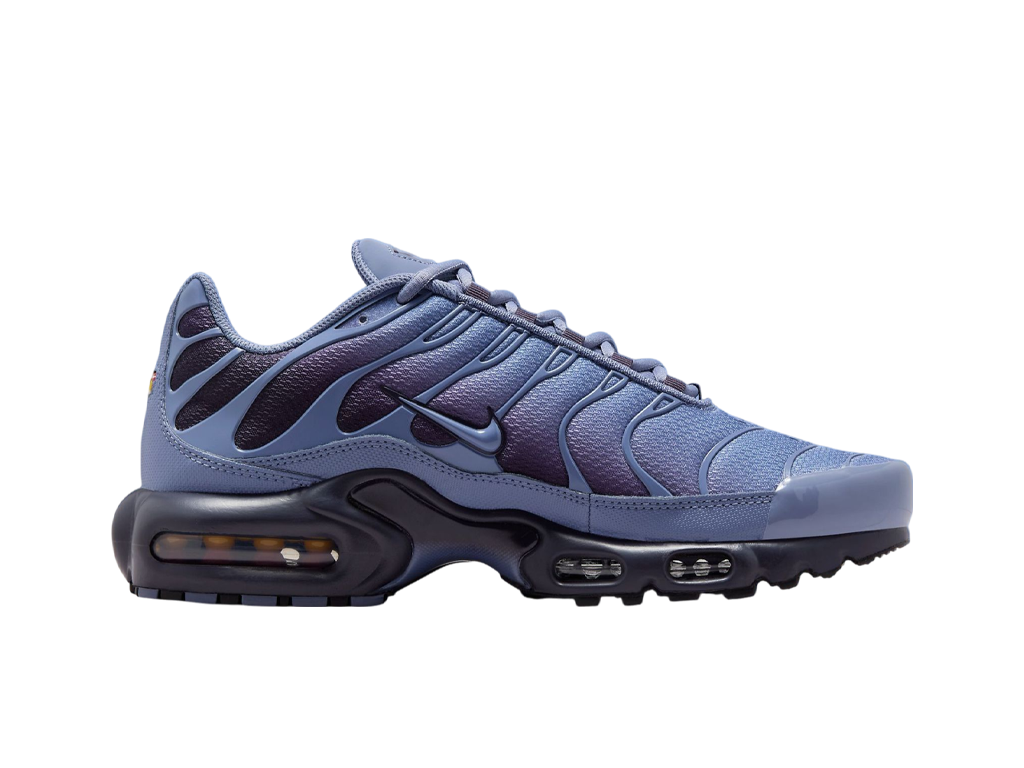 Nike Air Max Plus World Indigo-Nike-pikastore.cz