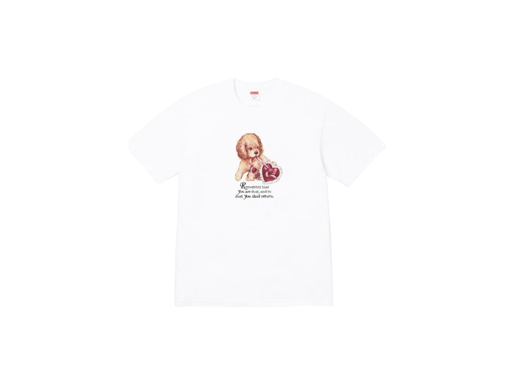 Supreme Dust Tee White-Supreme-pikastore.cz