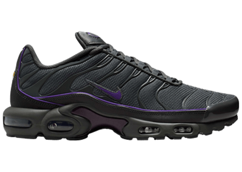Nike Air Max Plus Iron Grey Wild Grape-Nike-pikastore.cz