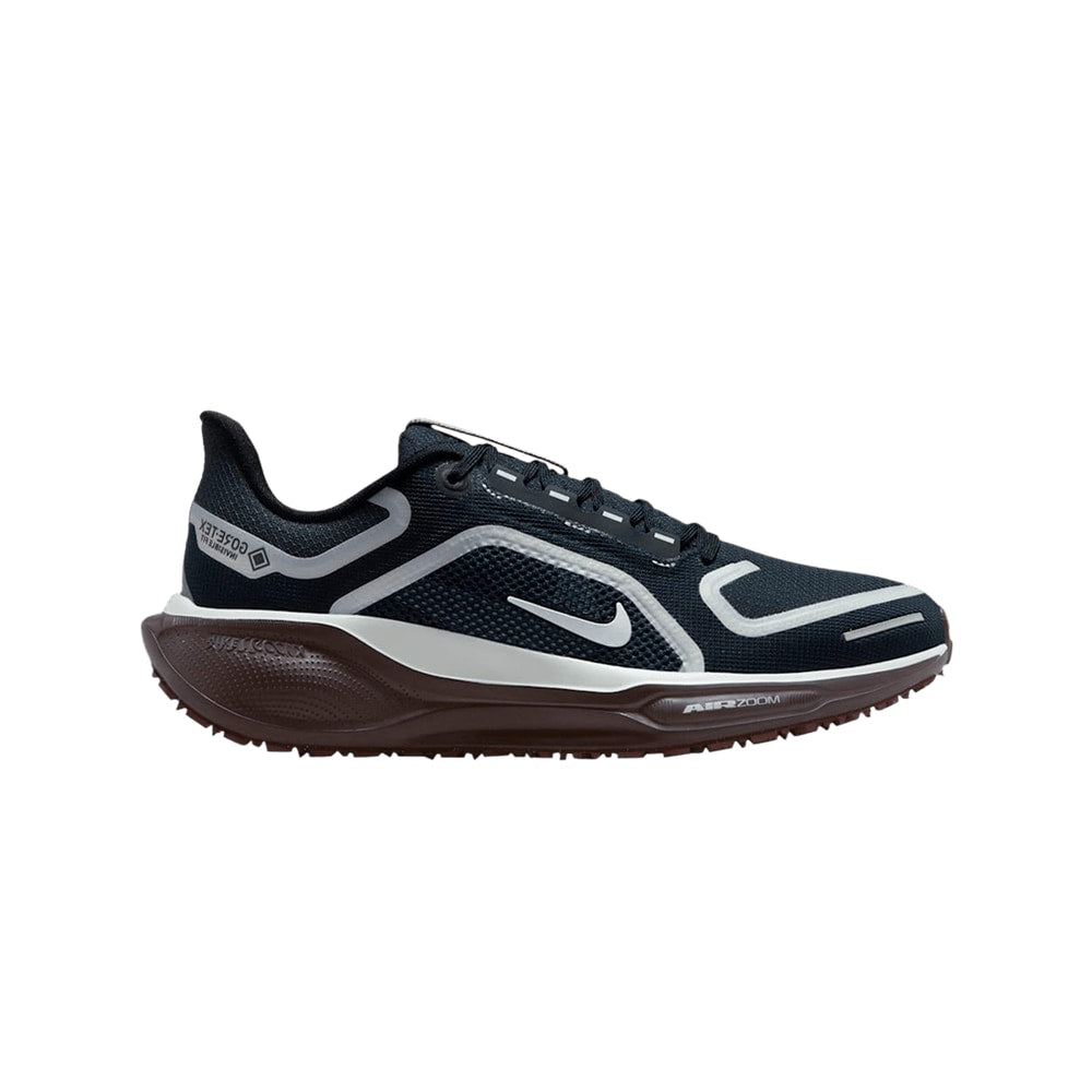 Nike Wmns Air Zoom Pegasus 41 GORE-TEX Dark Obsidian Anthracite Pure Platinum