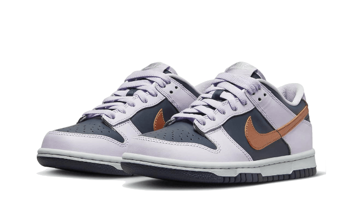 Nike Dunk Low SE Copper Swoosh (GS)-sneakers-Nike-pikastore.cz