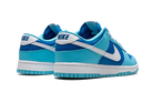 Nike Dunk Low Argon Blue (2002)-sneakers-Nike-pikastore.cz