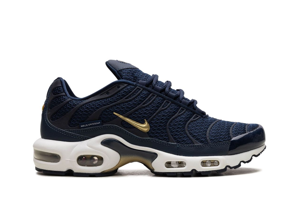 Nike Air Max Plus French Football Federation