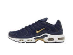 Nike Air Max Plus French Football Federation