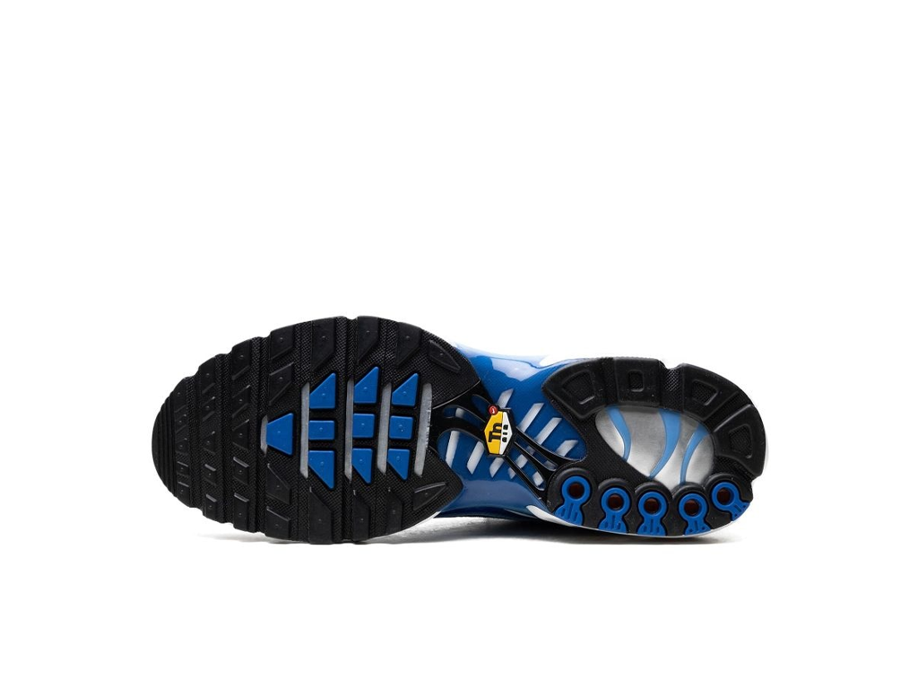 Nike Air Max Plus Light Photography - Old Royal-Nike-pikastore.cz