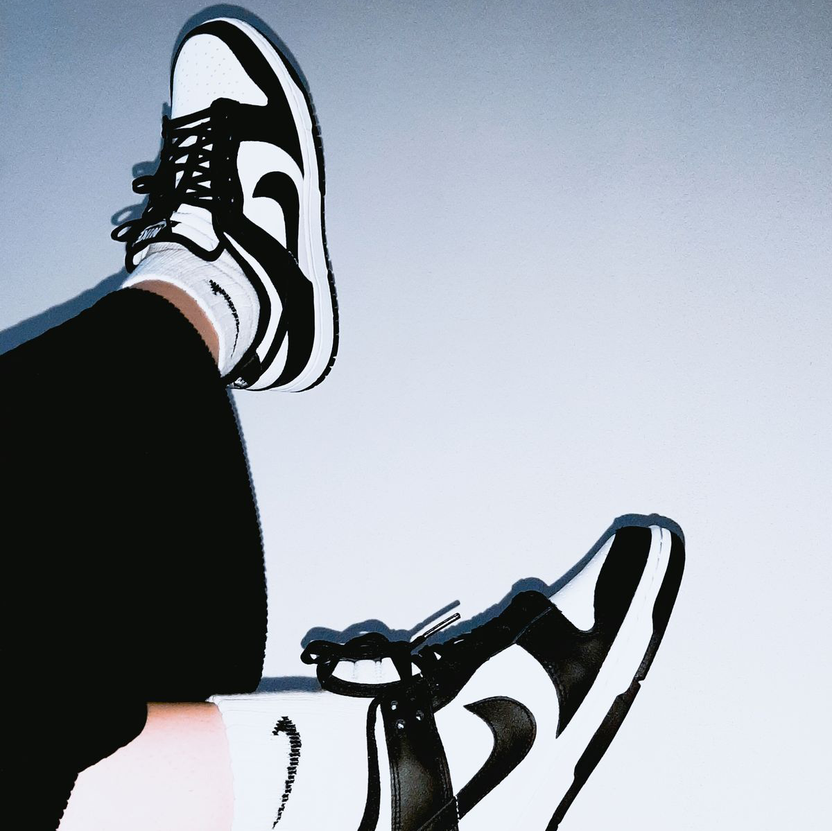 Nike Dunk Low Retro White Black Panda