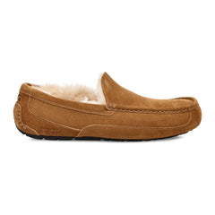 UGG Ascot Kapcie Chestnut